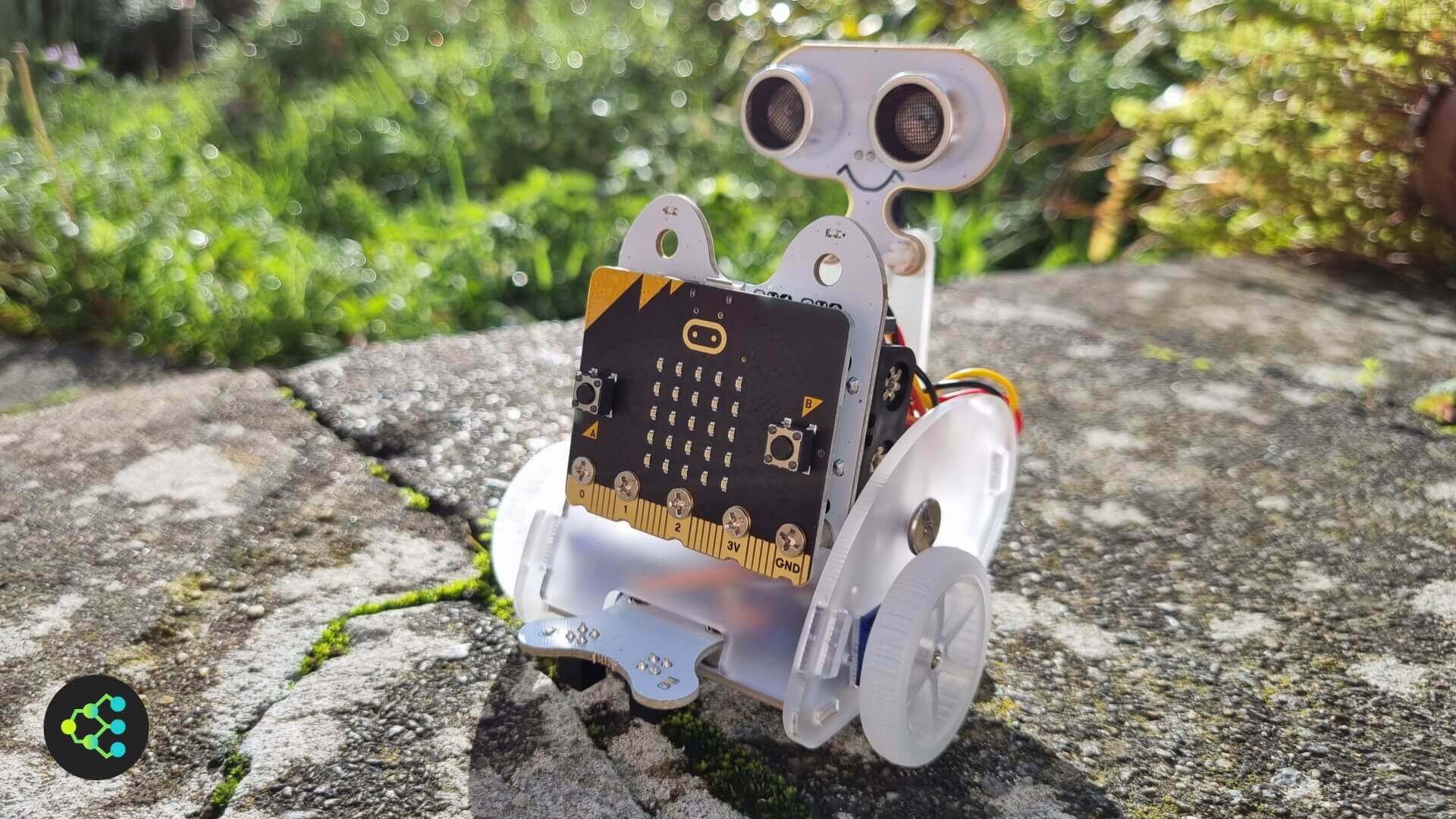 Extended Ring:bit car v2